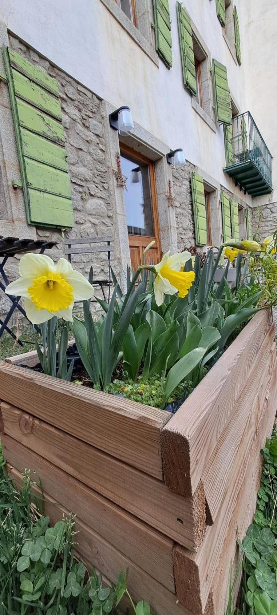 Font-Romeu-Odeillo-Via Le Grenier Des Moineaux B&B 외부 사진
